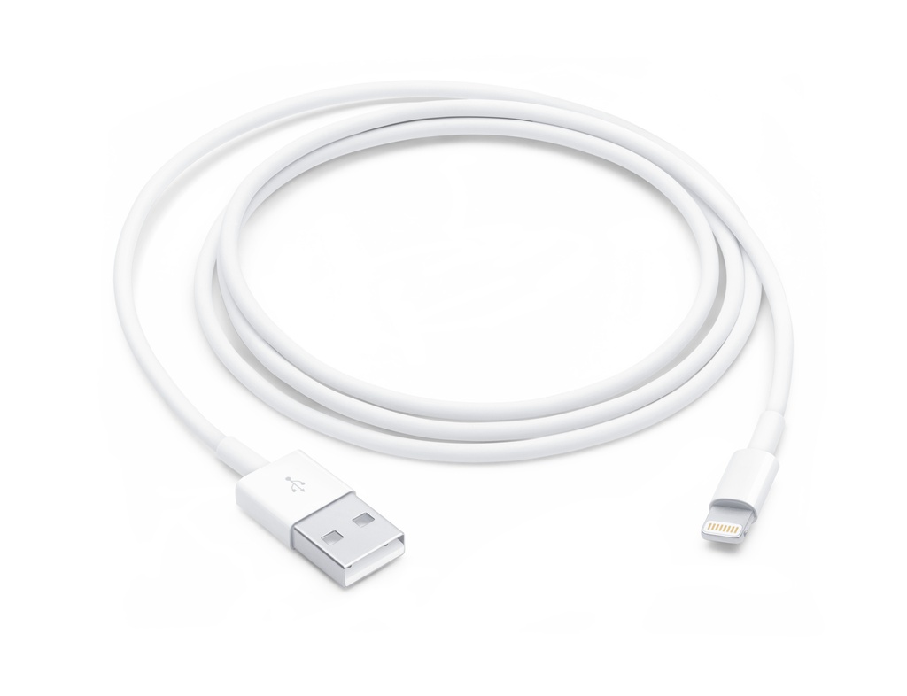 Câble Apple USB (1m)